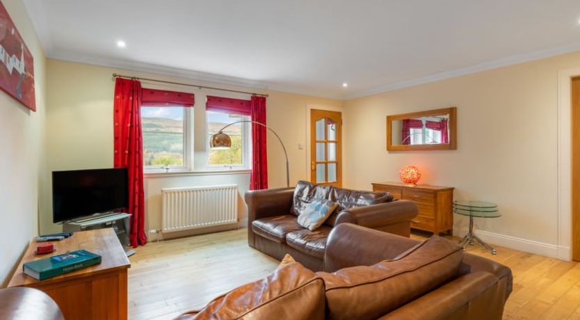 Photo of Silver Birch