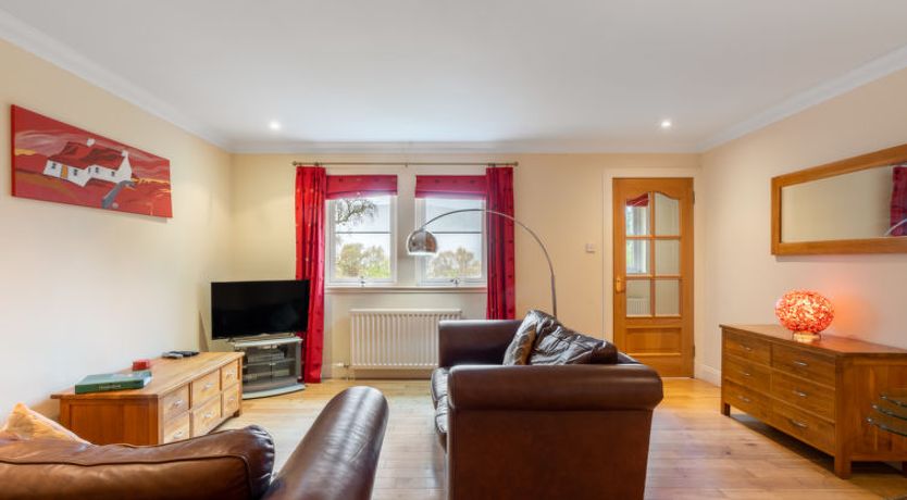 Photo of Silver Birch