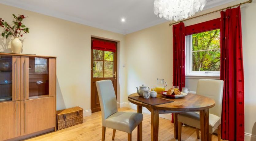 Photo of Silver Birch