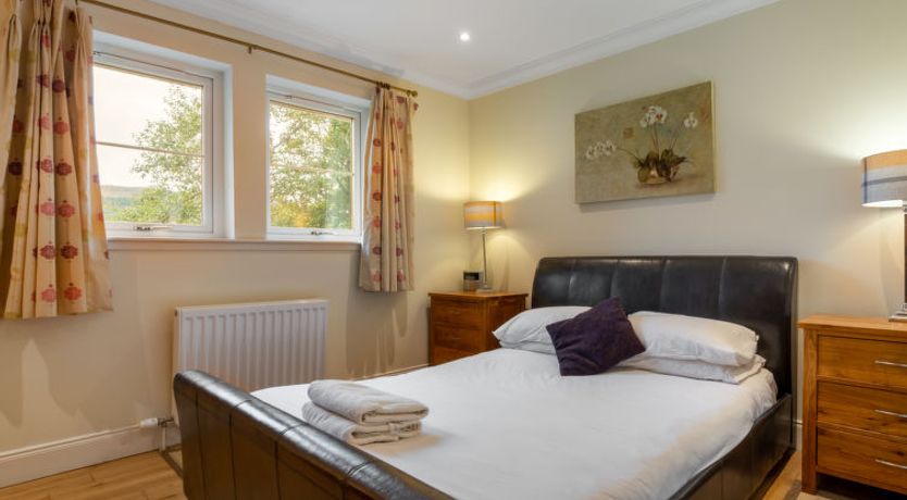 Photo of Silver Birch