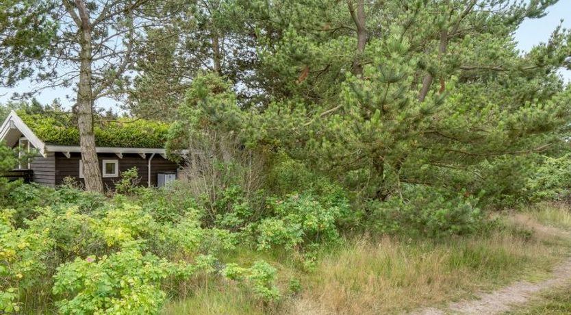 Photo of "Alfi" - 150m from the sea