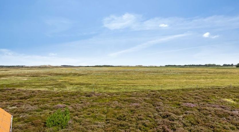 Photo of "Teda" - 2km from the sea