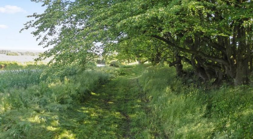 Photo of "Beatha" - 25km to the fjord