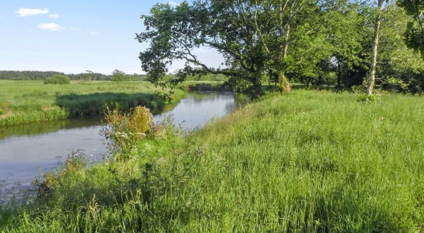 Photo of "Beatha" - 25km to the fjord