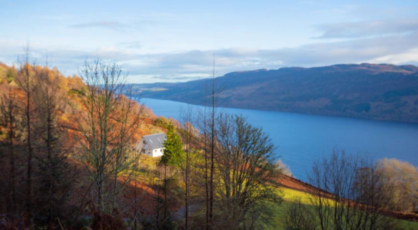 Photo of Peter’s Shed