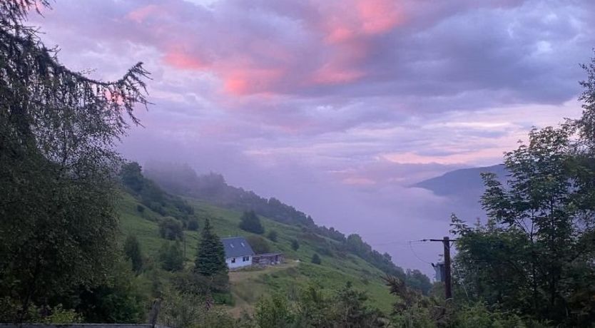 Photo of Peter’s Shed