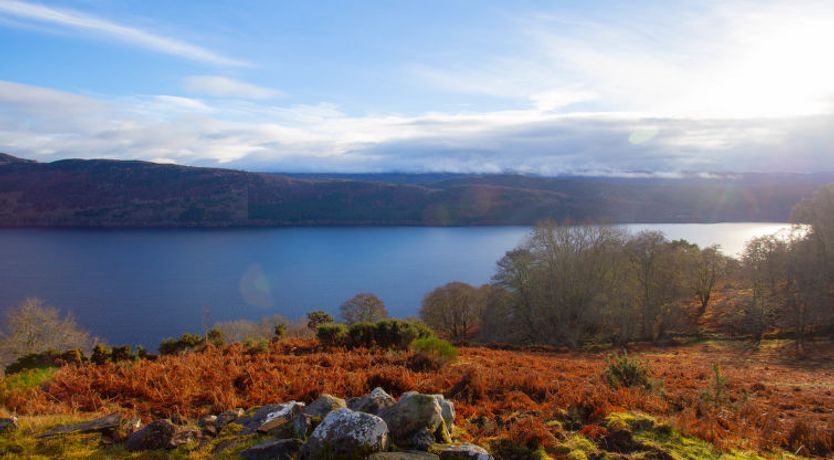 Photo of Peter’s Shed