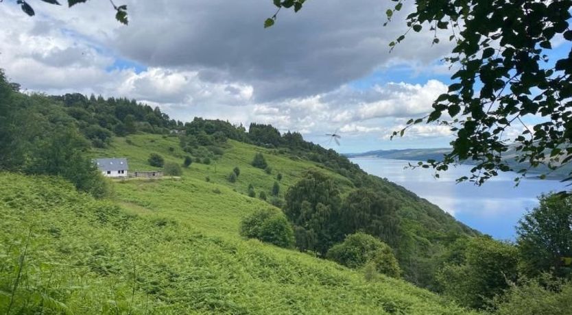 Photo of Peter’s Shed