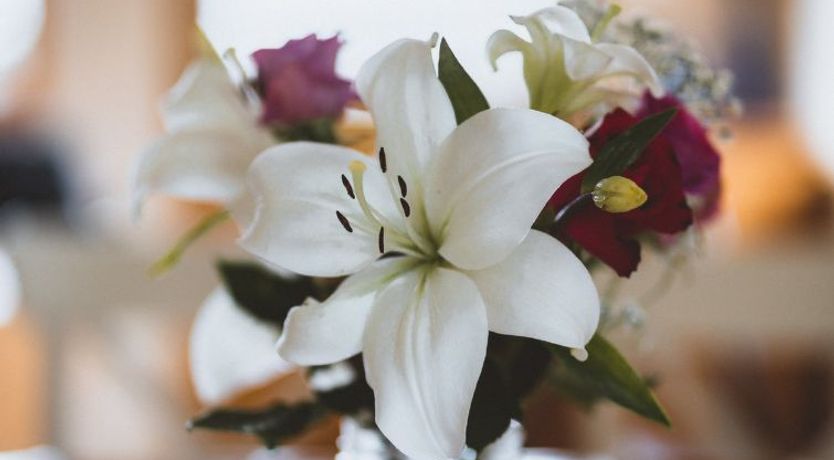 Photo of Peter’s Shed