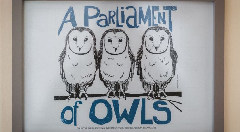 Photo of Peter’s Shed