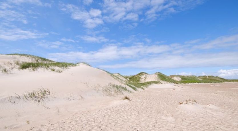 Photo of "Gundine" -  from the sea