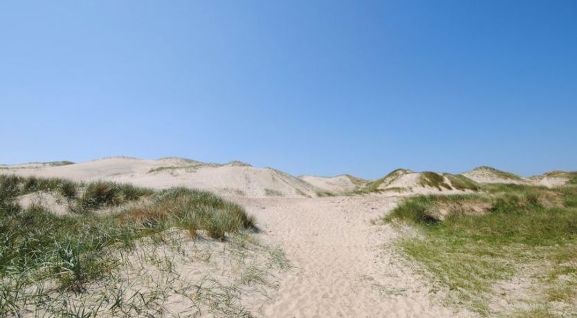 Photo of "Gundine" -  from the sea