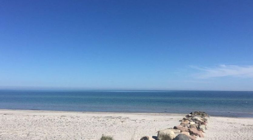 Photo of "Biorn" - 70m from the sea