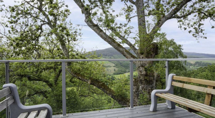 Photo of Achmony Green