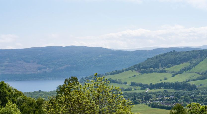 Photo of Achmony Green