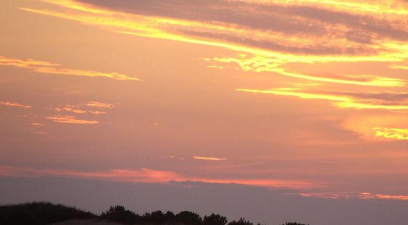 Photo of "Hawarth" - 300m to the fjord