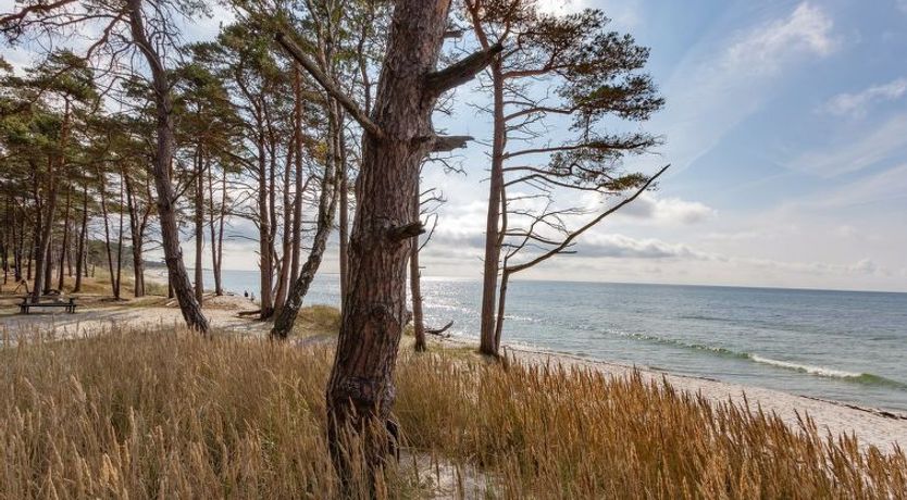 Photo of "Hildegerd" - 500m from the sea