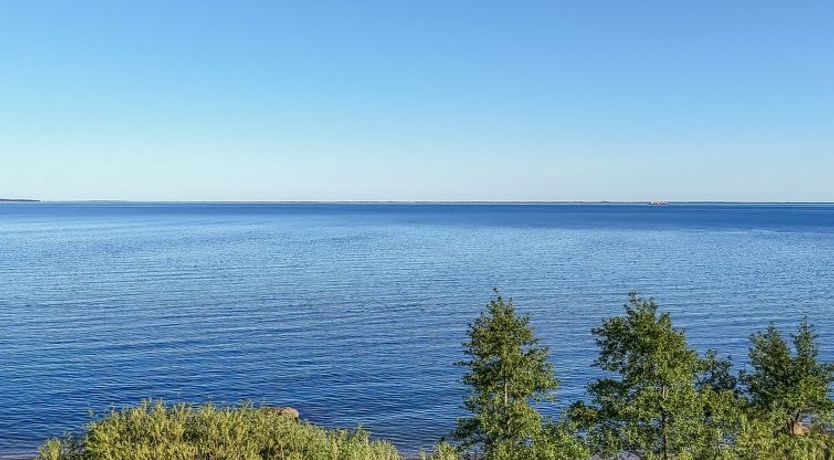 Photo of "Orsa" - 80m from the sea