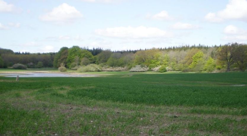 Photo of "Thia" - 4km to the fjord