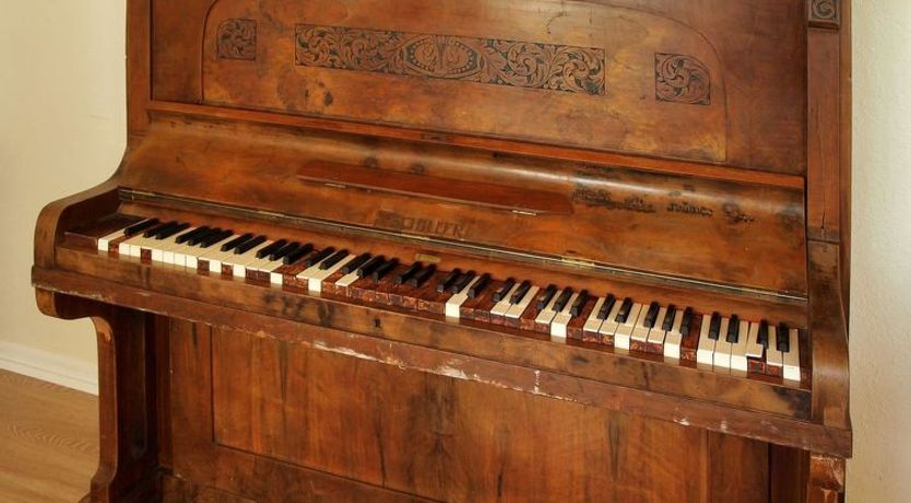 Photo of "Thia" - 4km to the fjord