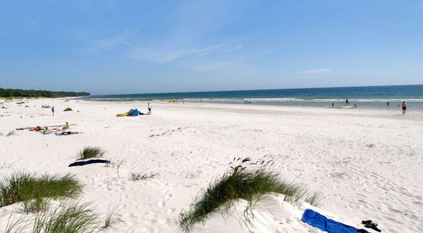 Photo of "Gustav" - 250m from the sea