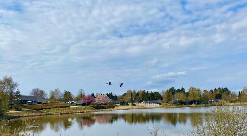 Photo of "Athisl" - 800m from the sea