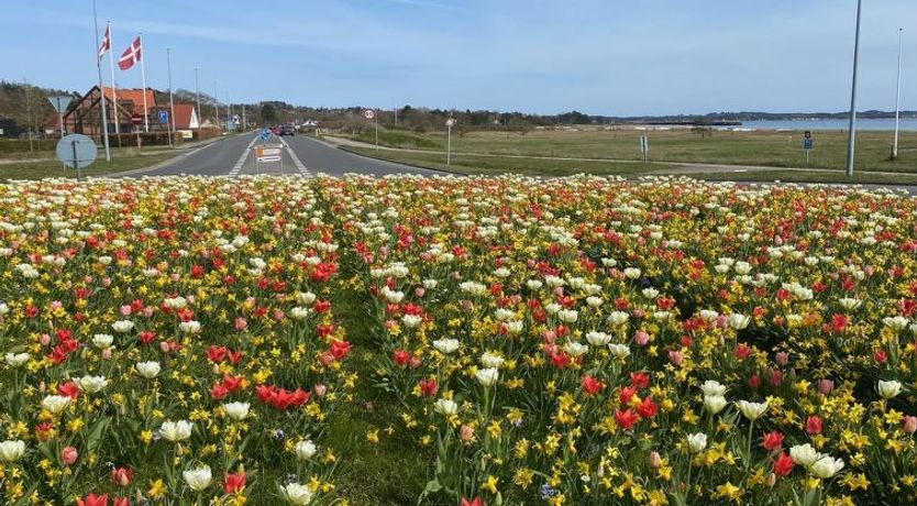 Photo of "Athisl" - 800m from the sea