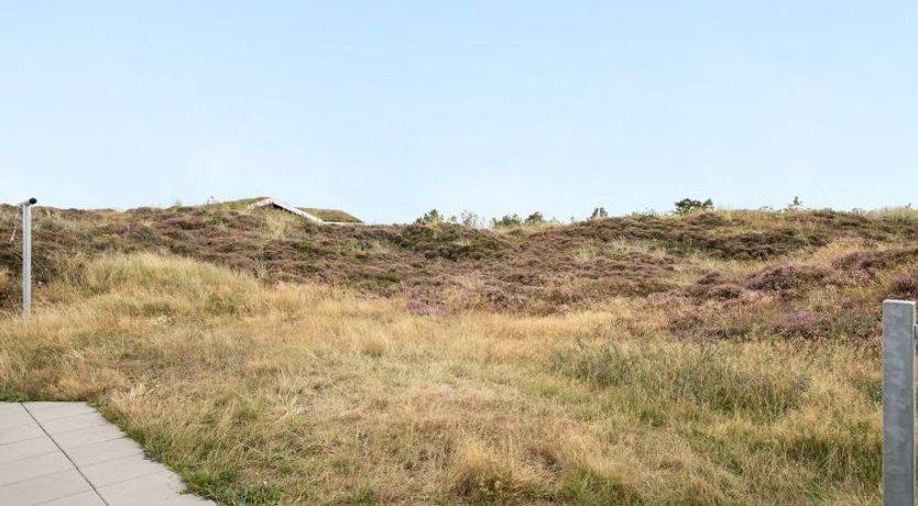 Photo of "Tennie" - 300m from the sea