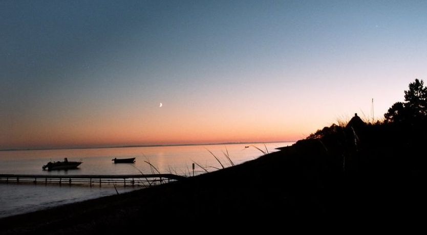 Photo of "Kalv" - 75m from the sea