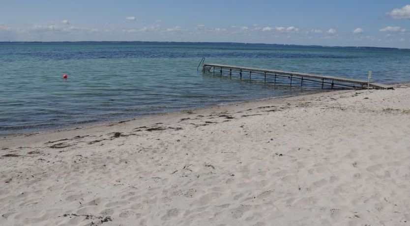 Photo of "Kalv" - 75m from the sea