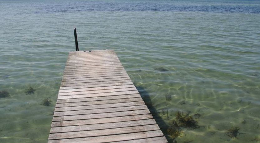 Photo of "Kalv" - 75m from the sea