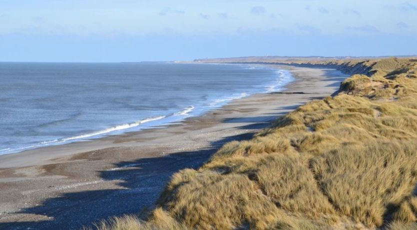 Photo of "Usko" - 250m from the sea