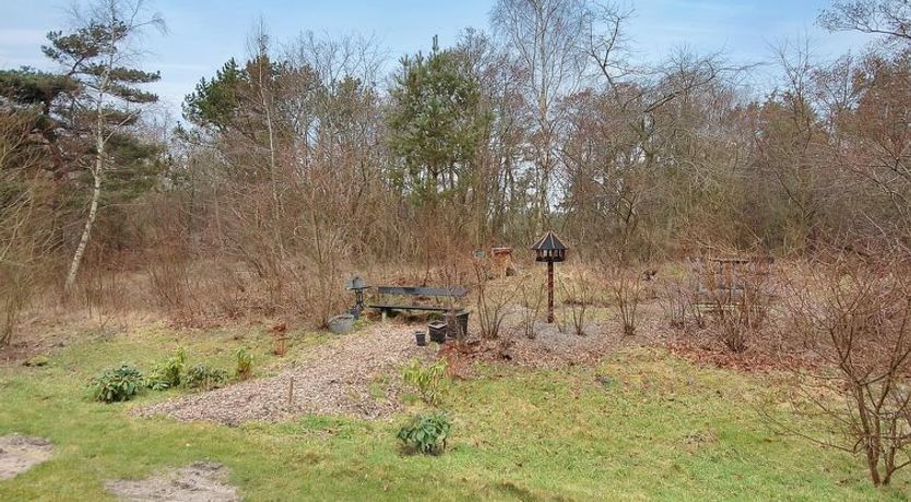 Photo of "Enni" - 100m from the sea