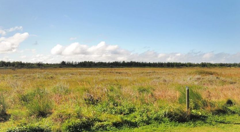 Photo of "Neven" - 900m from the sea