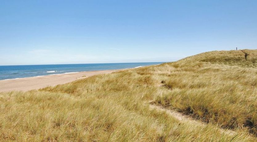 Photo of "Neven" - 900m from the sea