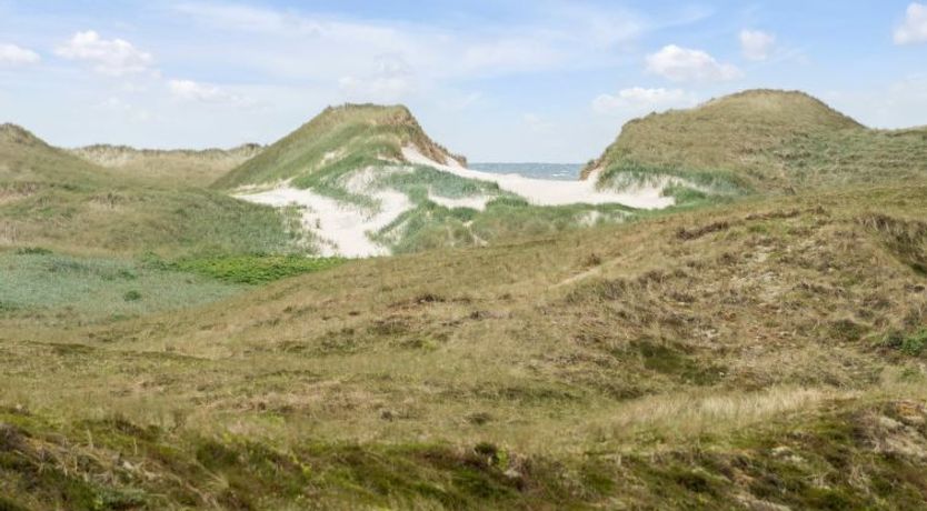 Photo of "Trugot" - 450m to the fjord