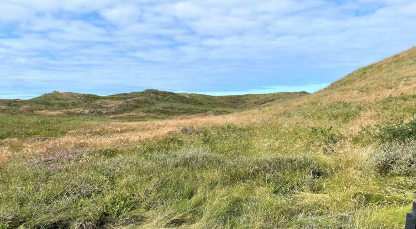 Photo of "Trugot" - 450m to the fjord