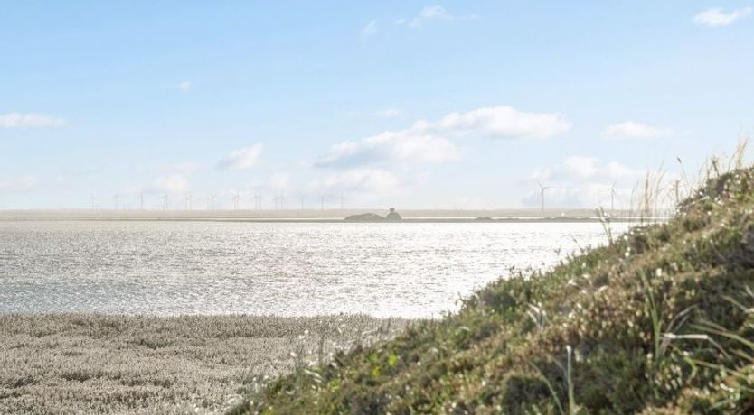 Photo of "Vina" - 200m to the fjord