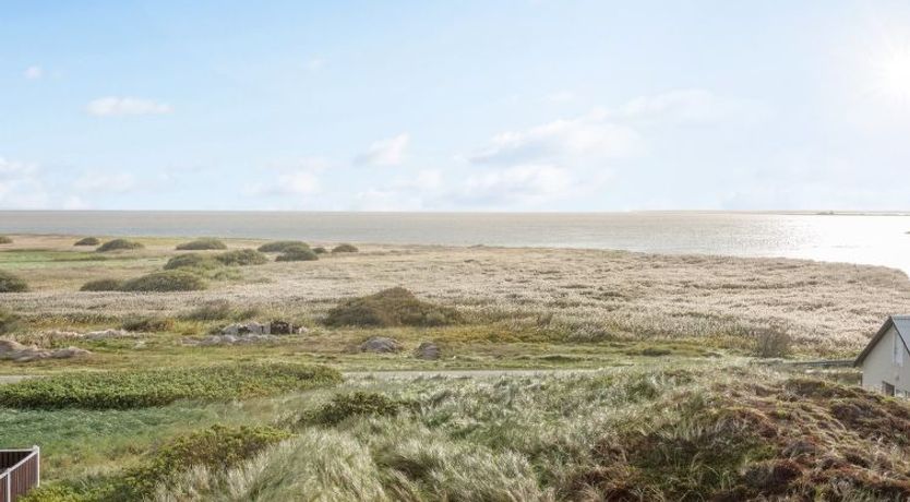 Photo of "Vina" - 200m to the fjord