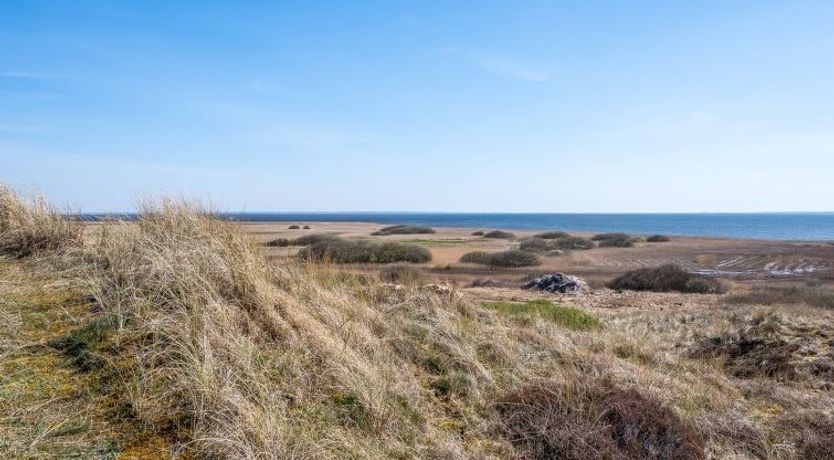 Photo of "Vina" - 200m to the fjord