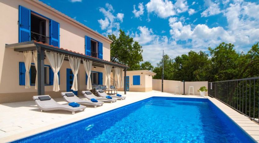 Photo of My Blue Wish