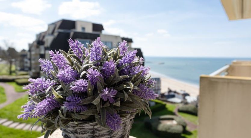 Photo of Domaine des roches