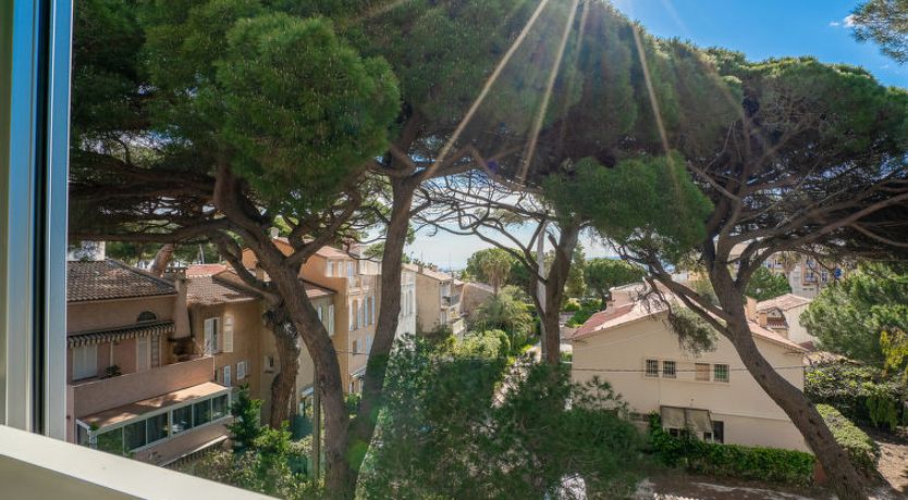 Photo of Bateau Blanc