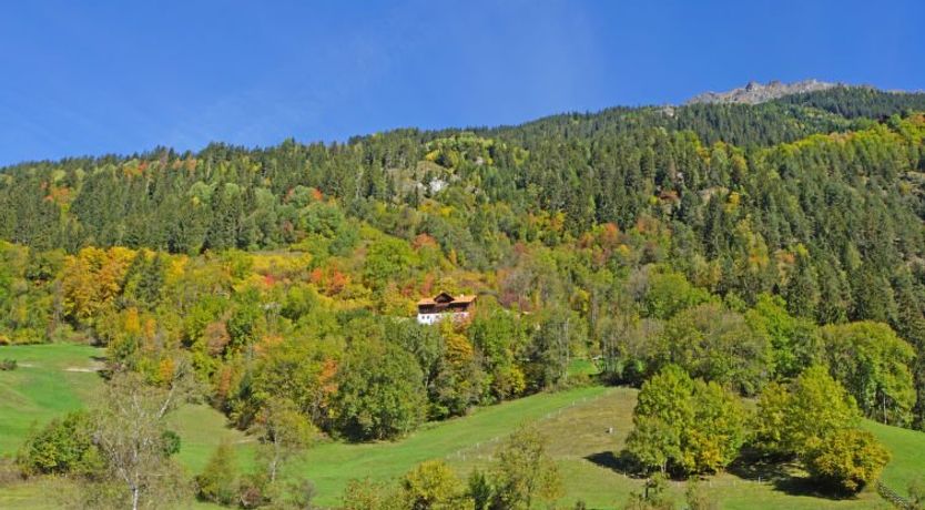 Photo of Peppi am Buchhammerhof Apartment 2