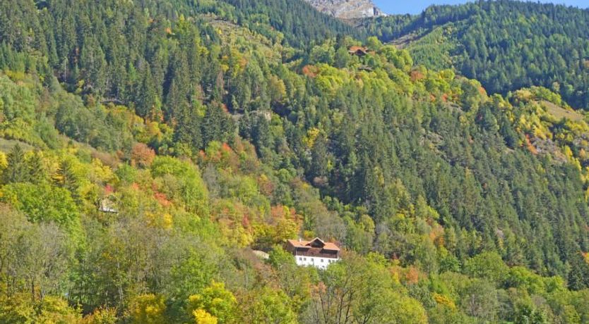 Photo of David am Buchhammerhof