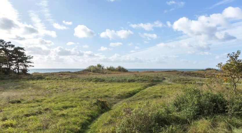 Photo of "Kajsa" - 50m from the sea