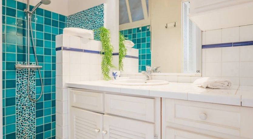 Photo of Les violettes 2