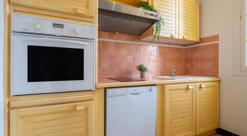 Photo of Les violettes 2