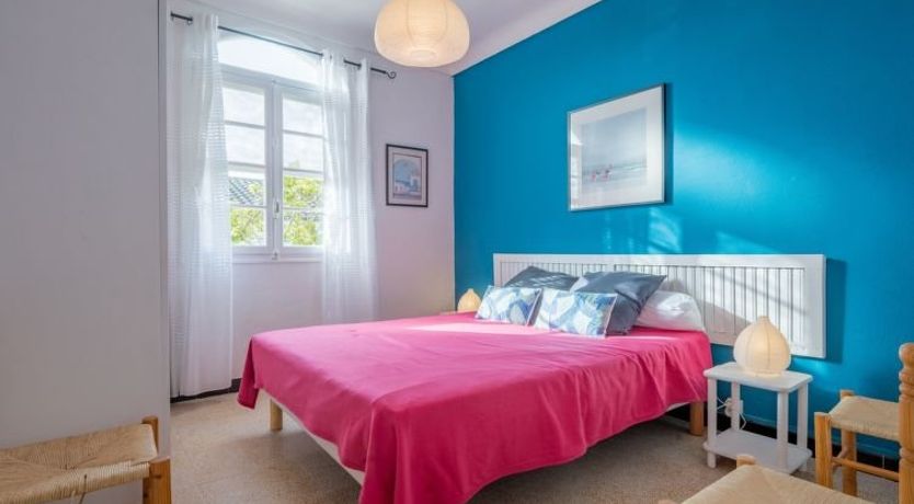 Photo of Les violettes 2