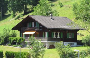 Chalet Pitschun Holiday Home